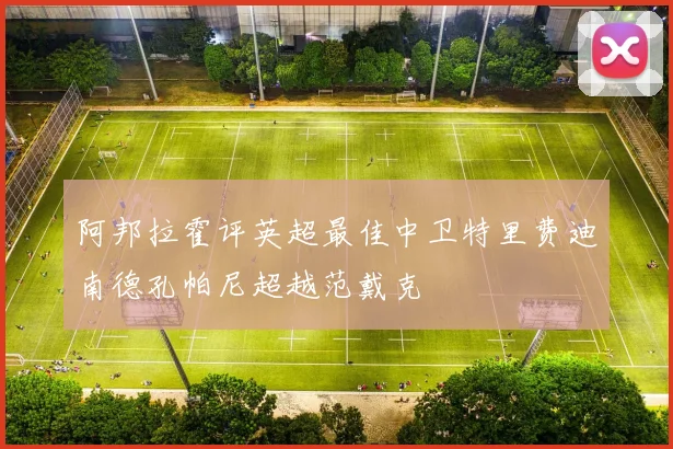 阿邦拉霍评英超最佳中卫特里费迪南德孔帕尼超越范戴克