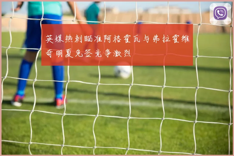 英媒热刺瞄准阿格霍瓦与弗拉霍维奇明夏免签竞争激烈