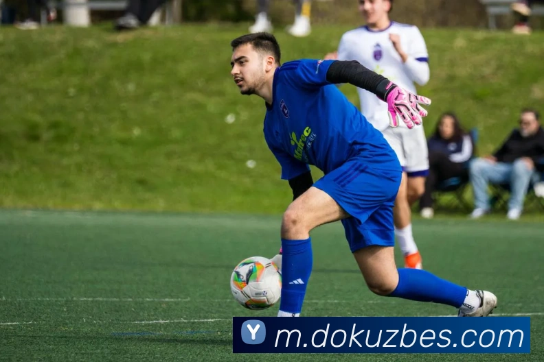 平台使命图